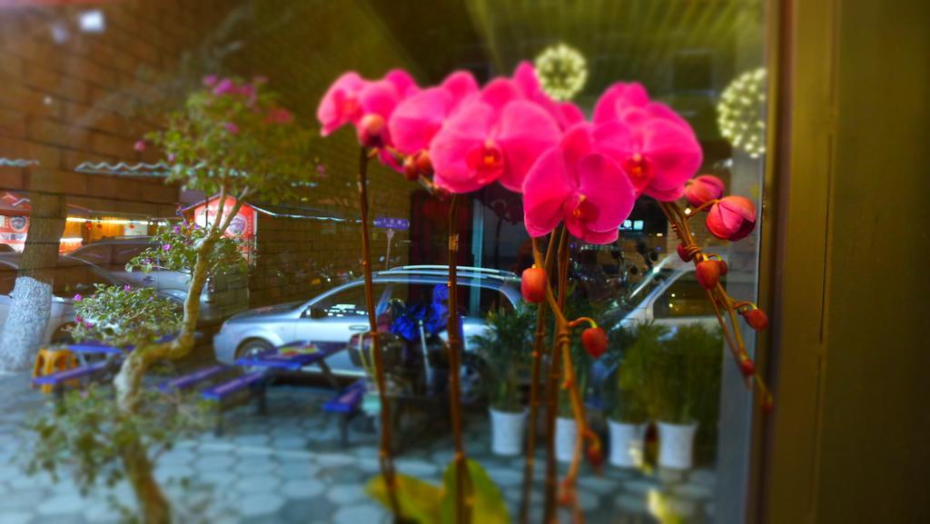 Guilin Central Wada Hostel Ngoại thất bức ảnh
